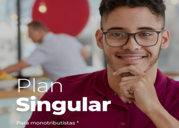 Plan Singular